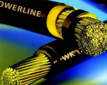 JGG-0.6/1KV耐高溫硅橡膠電纜 安徽特種電纜的技術優(yōu)勢與應用分析