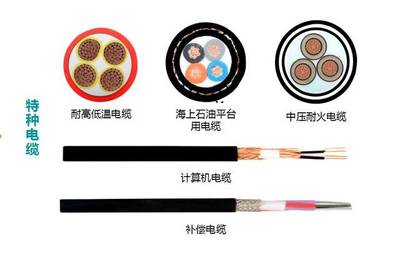 鑫電電纜 二十八年匠心傳承，特種電纜領域的先鋒力量